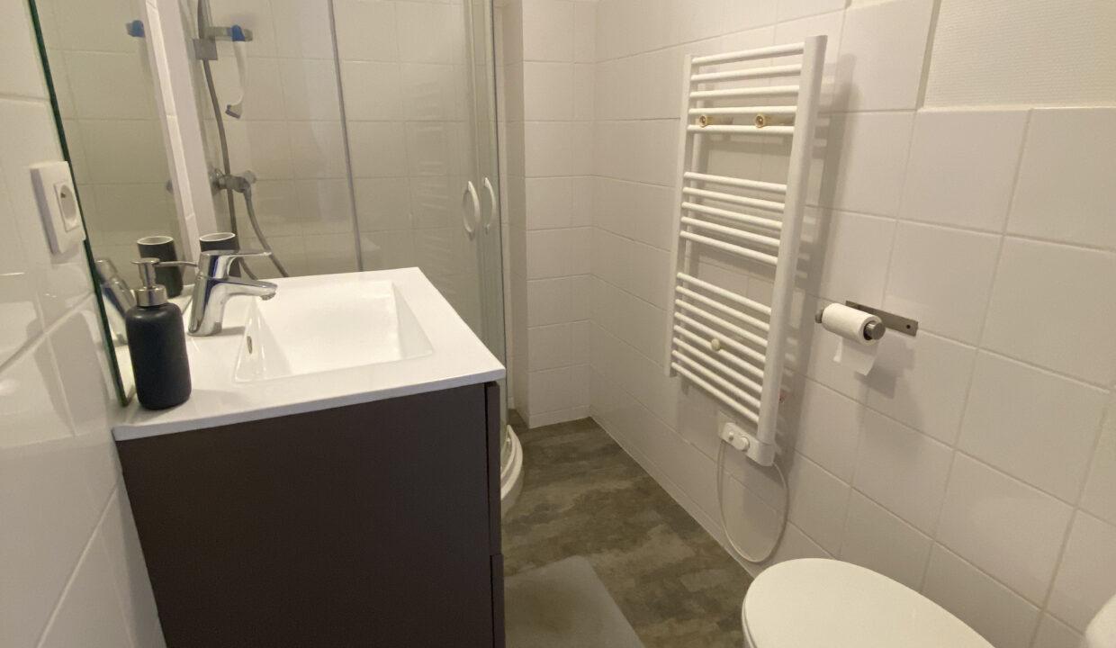 14PCP1-T1-studio-appartement-centre-ville-meublé-rénové-Poitiers-19